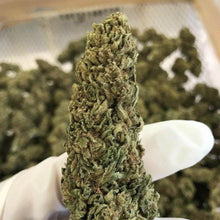 Cargar imagen en el visor de la galería, Bz1