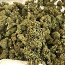 Cargar imagen en el visor de la galería, Bz1